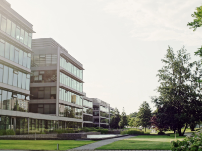 Government and University Government and University